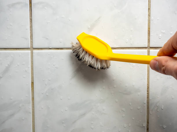 Best Mold Remediation  in Bay City, OR