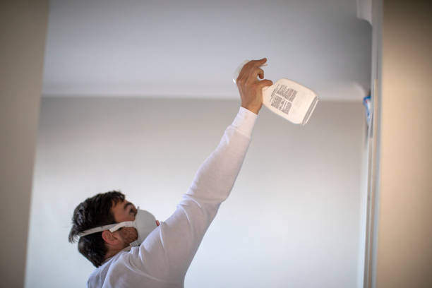 Best Local Mold Removal Service  in Bay City, OR